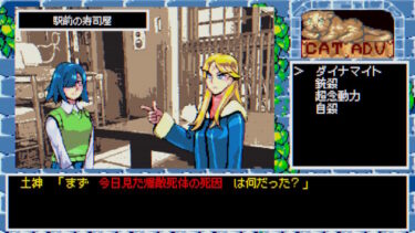 ハイパー・ユーフォリア ー プレイ後の感想と作品解説【レビュー】